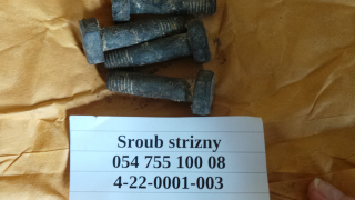 Šroub střižný