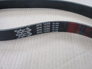 Řemen plochý víceklínový 8PK 1230 - Iveco F4AE